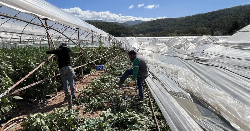 Antalya da hortum seralara zarar verdi