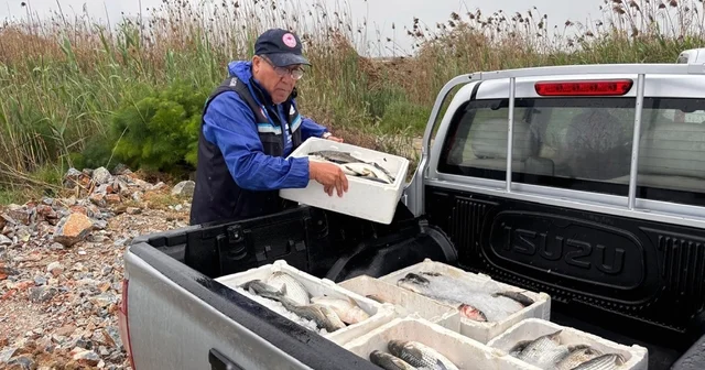 Milas ta kaçak avcılığa geçit yok: 80 kilo kefal balığına el konuldu Muğla Haberleri