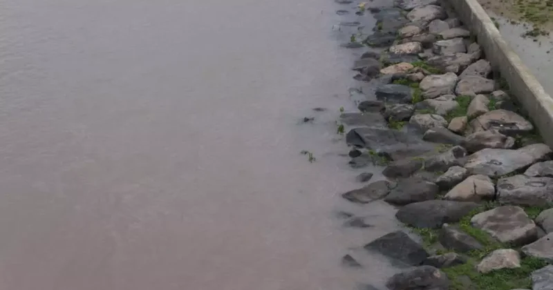 Cizre de boru hattındaki sızıntı nedeniyle petrol Dicle Nehrine karıştı, ekipler arızayı giderdi