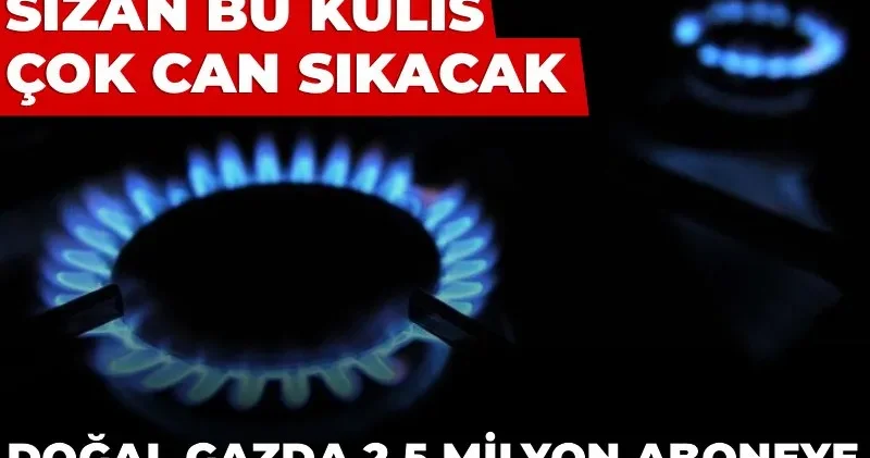 Doğal gazda 2,5 milyon aboneye devlet desteği bitiyor