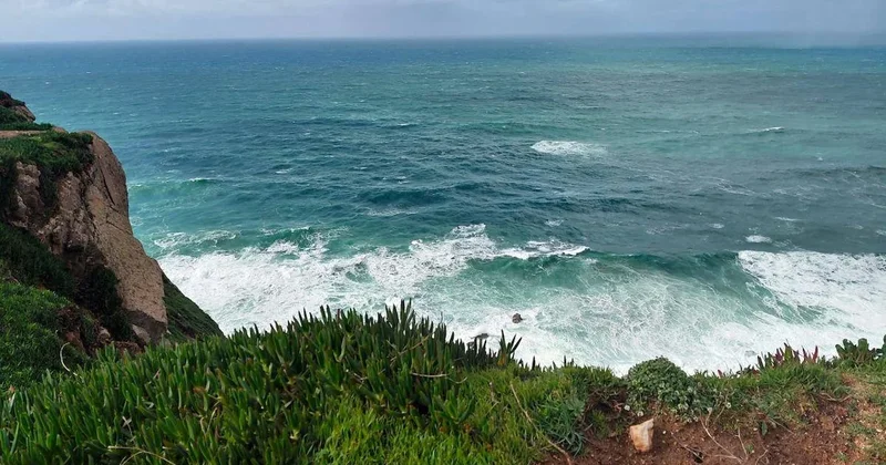 Panama Körfezi nde 40 yıl sonra bir ilk: Okyanus nefesi aniden kesildi Sözcü Gazetesi