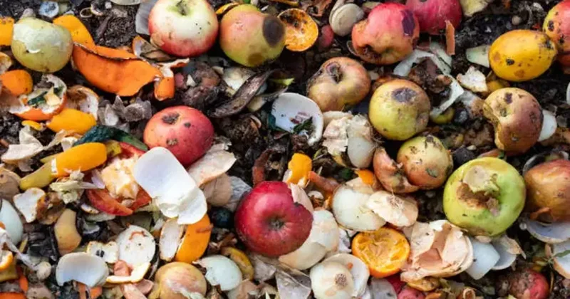 Çöpe giden servet dudak uçuklattı: Trilyon dolarlık kayıp