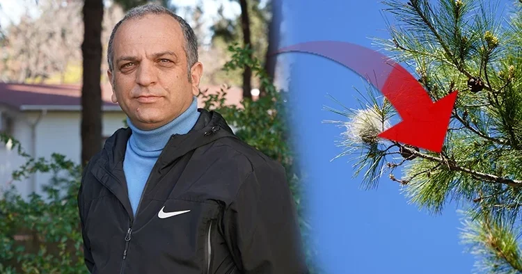 Baharın gelmesiyle yoğunluğu arttı: Uzman isim sessiz tehlike ye karşı uyardı