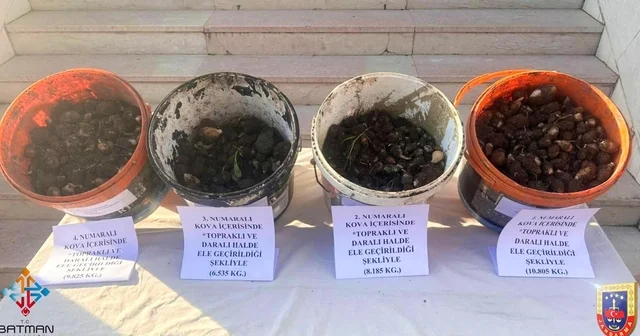 Sason da endemik bitki operasyonu: 4 kişiye 2 milyon 8 bin lira ceza Batman Haberleri