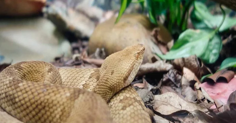 Ayda 500 bin TL kazanıyor ama yaptığı işi duyunca kaçacaksınız Sözcü Gazetesi