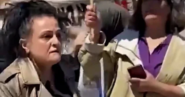 İstanbul’da sahipsiz köpeklerin toplanmasına karşı çıkarak sinir krizi geçirdi: ‘Şeytanlar’ diyerek hakaret yağdırdı VİDEO İZLE