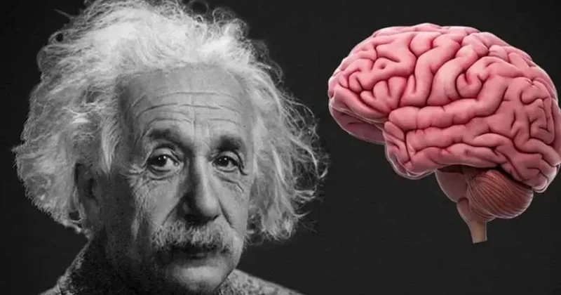 Psikologlar yüksek zekaya sahip insanları ele veren tek özelliği açıkladı Sözcü Gazetesi