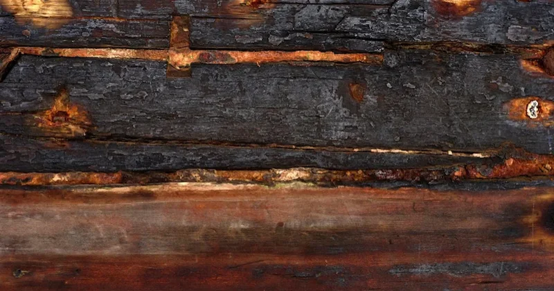 Koskoca geminin rotasını polenler ele verdi Sözcü Gazetesi