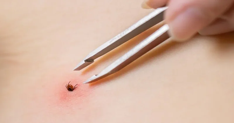 1 kişi hayatını kaybetmişti! Kabus devam ediyor: 2 kişi daha hastanede tedavi altında!