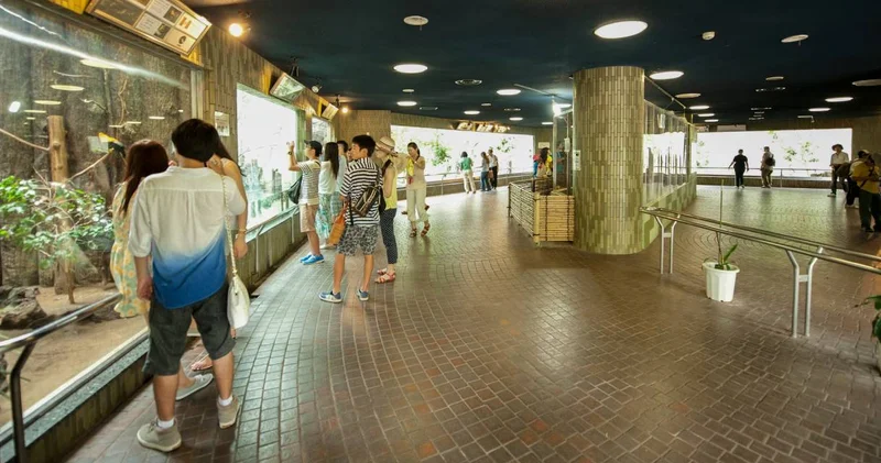 Hayvanat bahçesinde korkunç itiraf! Fırında yok ettiğini söyledi