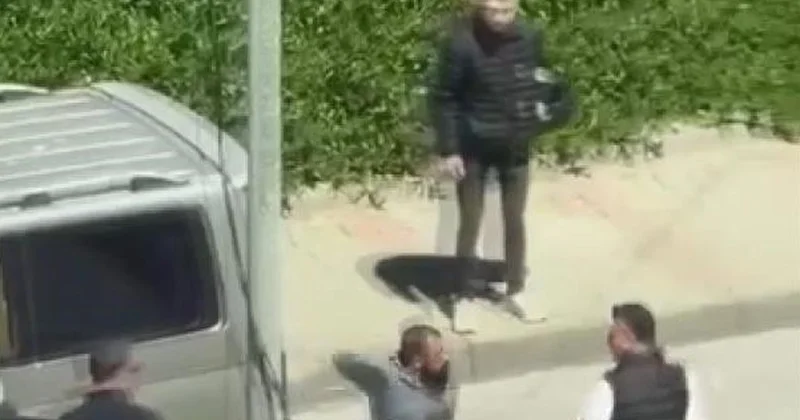 Tartıştığı kadını sokak ortasında yumrukladı, müdahale edenlere tepki gösterdi