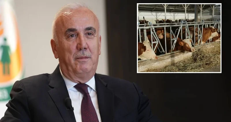 Tarım Kredi’den et fiyatlarını düşürecek hamle: Trakya’ya 4 milyarlık dev tesis kurulacak Ekonomi Haberleri