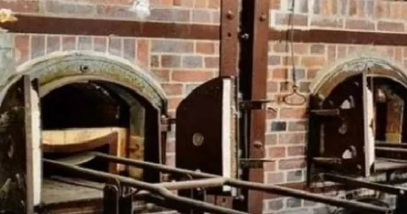 Eşinin cesedini hayvanat bahçesi fırınında yok etti! Sözcü Gazetesi