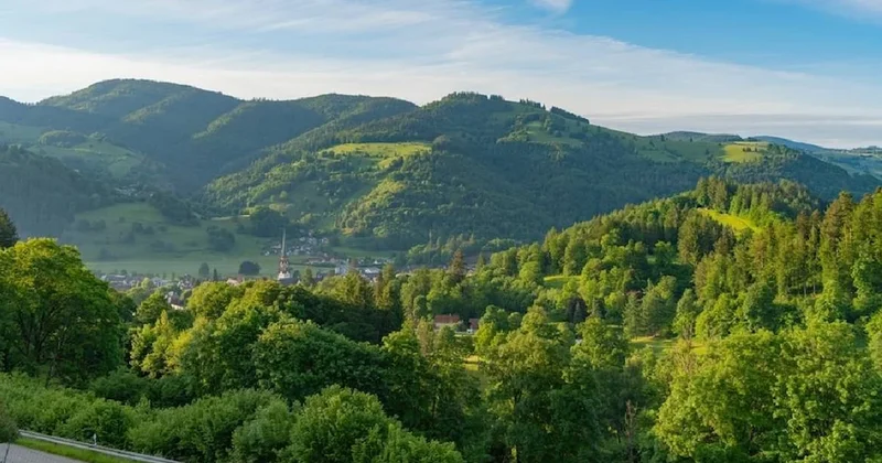 Dünyada bir ilk: Böceklere hak tanındı, artık mahkemeye bile gidebilirler Sözcü Gazetesi