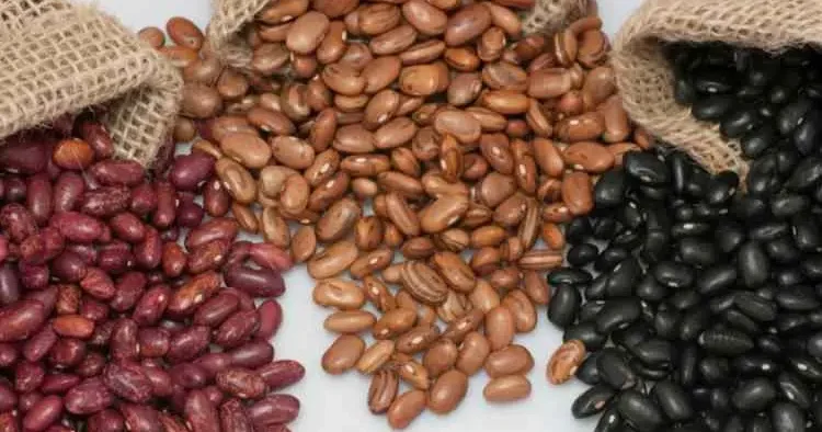 100 yaşını aşanların ortak sırrı! Dünyaca ünlü uzman isim mutlaka tüketin diyor