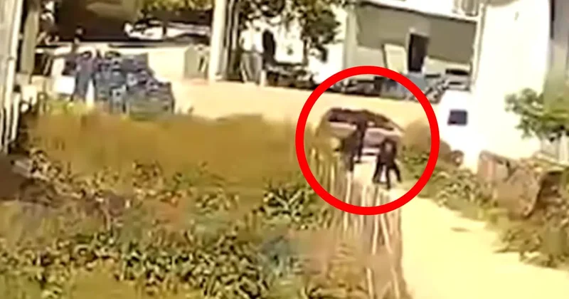 Kadın avukat davayı geri çekmeyince öldürüldü! Cinayet anı kamerada