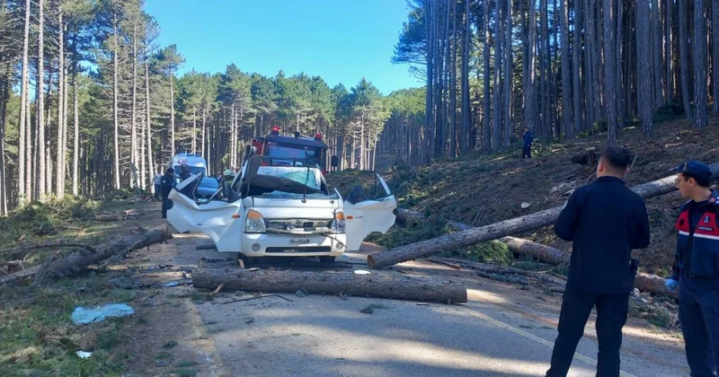 Bursa da kesilen ağaç seyir halindeki kamyonetin üzerine devrildi: 1 ölü, 2 yaralı