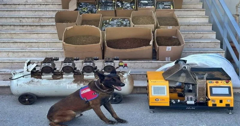 Kaçak tütün operasyonu! Binlerce makaron ele geçirildi