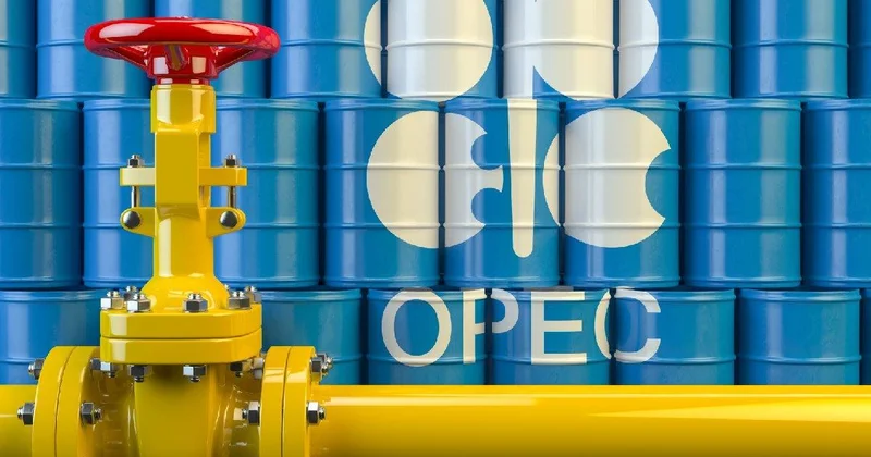BAE ayrılığı OPEC i bitirir mi?