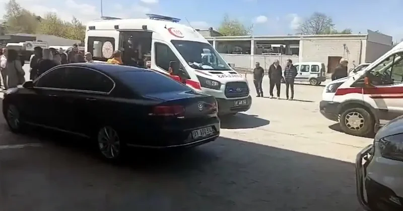 Taksicinin, tabanca ile vurulmuş cesedi bulundu