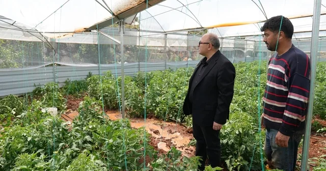 Mersin de dolu, sebze tarlaları ve meyve bahçelerine zarar verdi Mersin Haberleri
