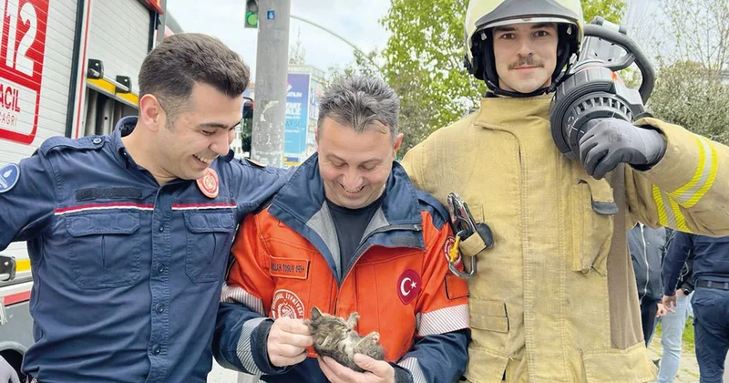 İstanbul İtfaiyesi’nden yavru kedi operasyonu