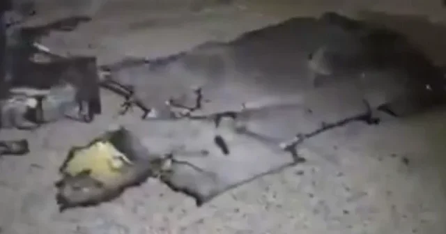 Rus İHA’sı NATO toprağını vurdu: Romanya’da apartmanda yangın çıktı VİDEO İZLE