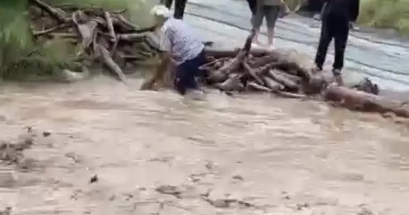 Odun uğruna canını hiçe sayarak dereye giren vatandaşın o anları kamerada