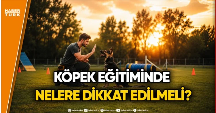 Köpeklerle Doğru İletişim Nasıl Kurulur?