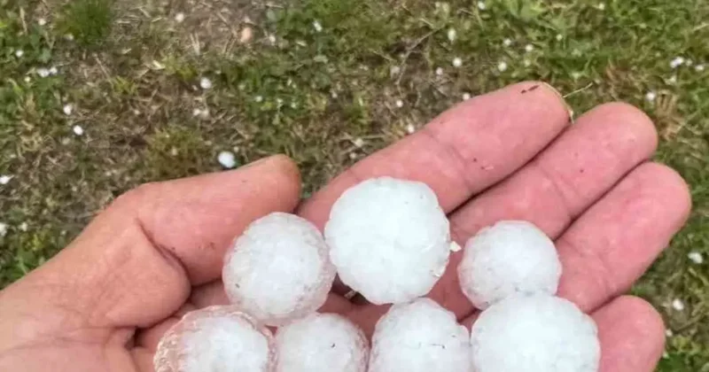Sivas’ta fındık büyüklüğünde dolu yağdı, ağaçlar çiçek döktü