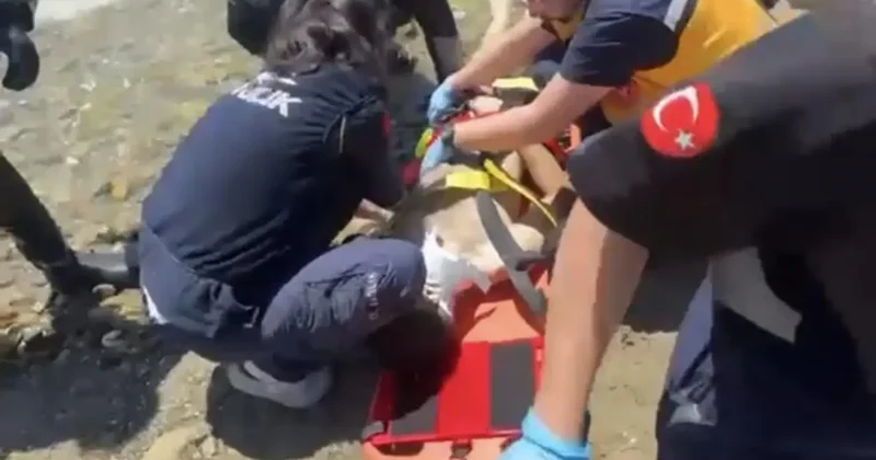40 metre açıkta denizin dibinde bulunmuştu: 17 yaşındaki gençten acı haber