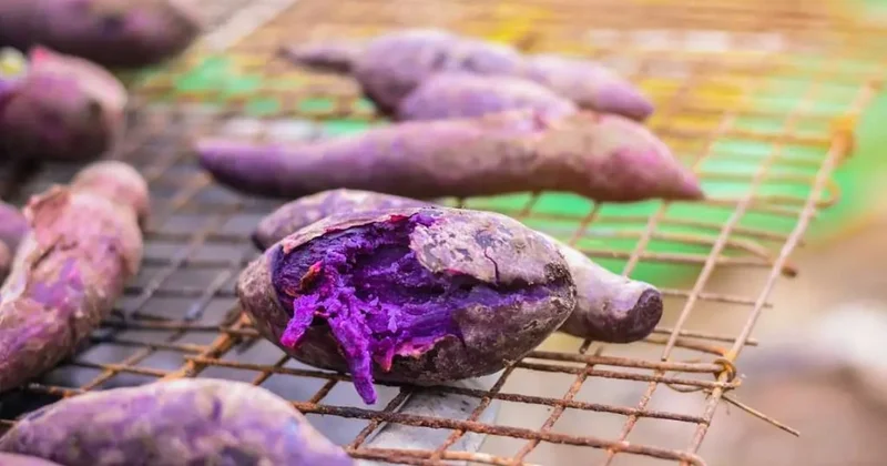 Matcha devri bitti yenisi geliyor: Mor yumru dünyaya yayılıyor Sözcü Gazetesi