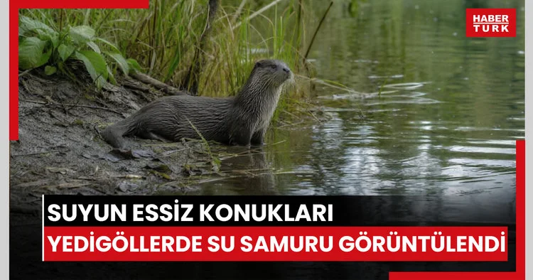 Suyun essiz konukları