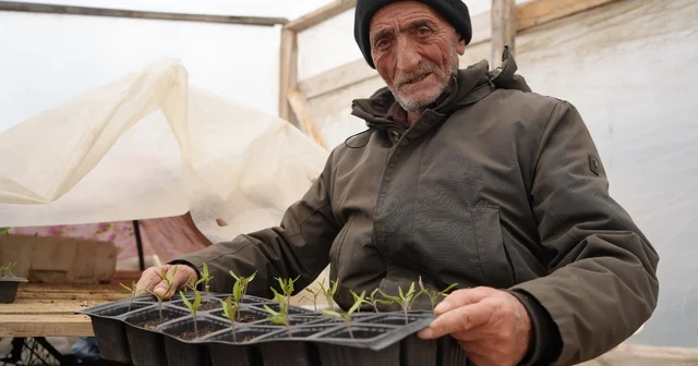 Bayburtlu çiftçi memleket meselesi gördüğü ata tohumlarını gelecek kuşaklar için çoğaltıyor Bayburt Haberleri Habertürk Yerel Haberler