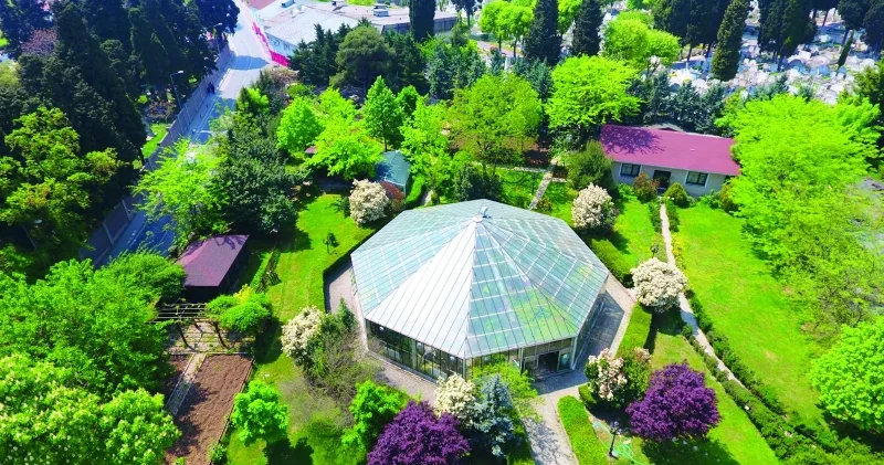 Tıbbi bitkilerle donanmış bir bahçe Kültür Sanat Haberleri