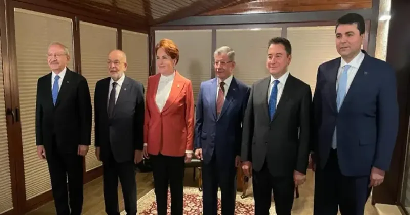 Siyasetçilerin siyasi hayatları öncesindeki meslekleri