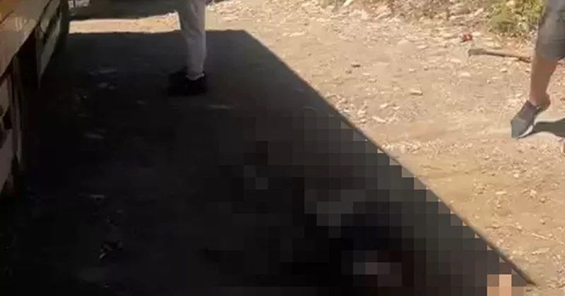 Kemer de Asansör Elektrik Hattına Düştü: 2 İşçi Hayatını Kaybetti