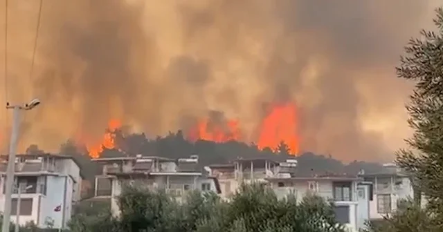 İzmir de orman yangını rüzgarla birlikte geniş alana yayıldı VİDEO İZLE
