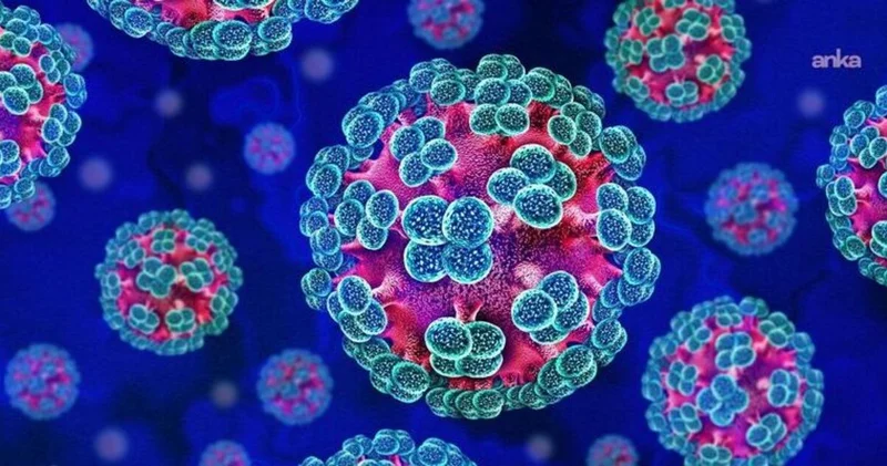 Hantavirüs salgını sona eriyor