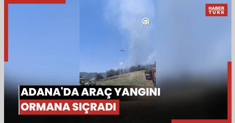 Adana da park halindeki araçta çıkan yangın ormanlık alana sıçradı