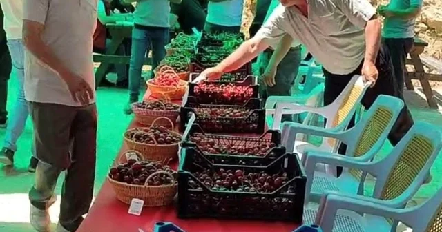 Hisarcık Kutlubeyler köyünde Kiraz Festivali coşkusu Kütahya Haberleri Habertürk Yerel Haberler