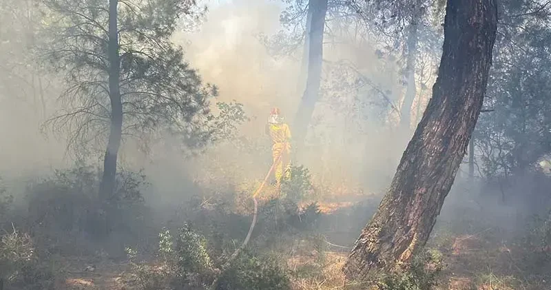 Çanakkale de tarım arazisinde yangın