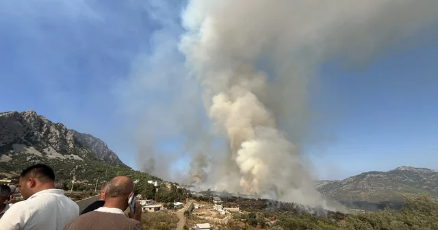 Kumluca daki orman yangınına ekiplerin müdahalesi devam ediyor Sokak kedisi yangından kurtarıldı Antalya Haberleri Habertürk Yerel Haberler