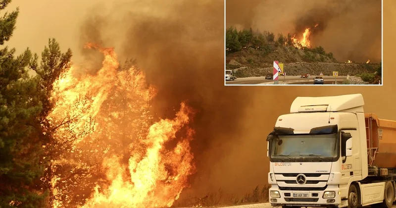 Muğla da orman yangını! Evler tahliye edildi, iki birbirine bağlayan yol kapatıldı