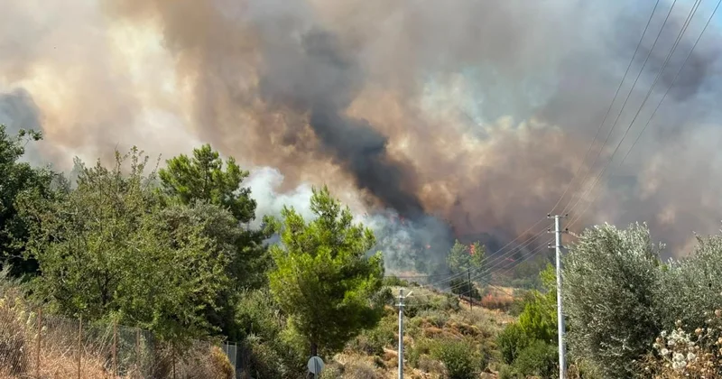Antalya nın Kumluca daki orman yangınına müdahale ediliyor