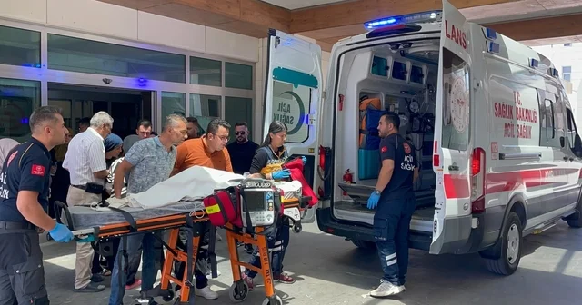 Karaman da köpek dehşeti: 3 yaşındaki çocuk ağır yaralandı Bahçede oynayan çocuğa sahipli kurt köpeği saldırdı, o anlar kamera yansıdı Karaman Haberleri Habertürk Yerel Haberler