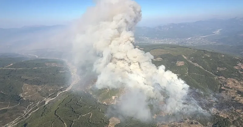 Muğla ve Antalya da orman yangını! Alevler kontrolden çıkıyor...