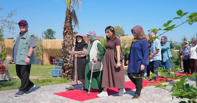 Alzheimer hastalarına terapi gibi etkinlik Düzce Haberleri Habertürk Yerel Haberler