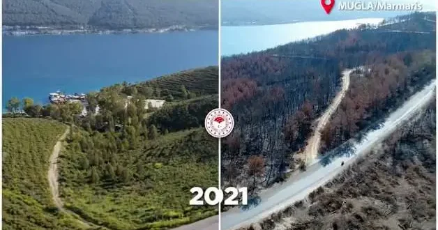 Küllerinden yeniden yeşeren Yeşil Vatan: Bakan Yumaklı o anları paylaştı