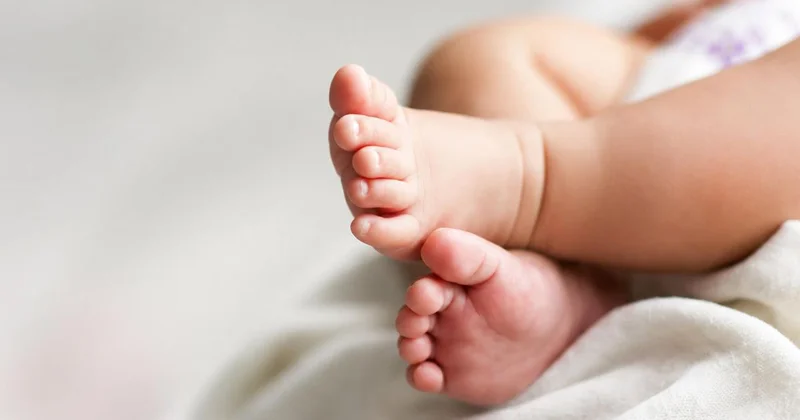 Eşiyle tartışırken açtığı kutulardan 5 bebek cesedi çıktı